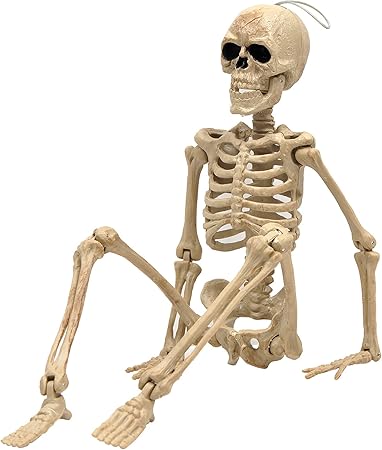 e Crafty 16" Posable Skeleton