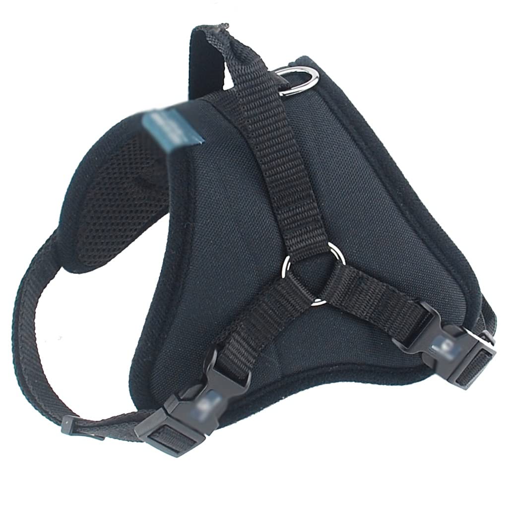 Gilet pour chien ajustable rembourré avec collier en maille respirante taille L