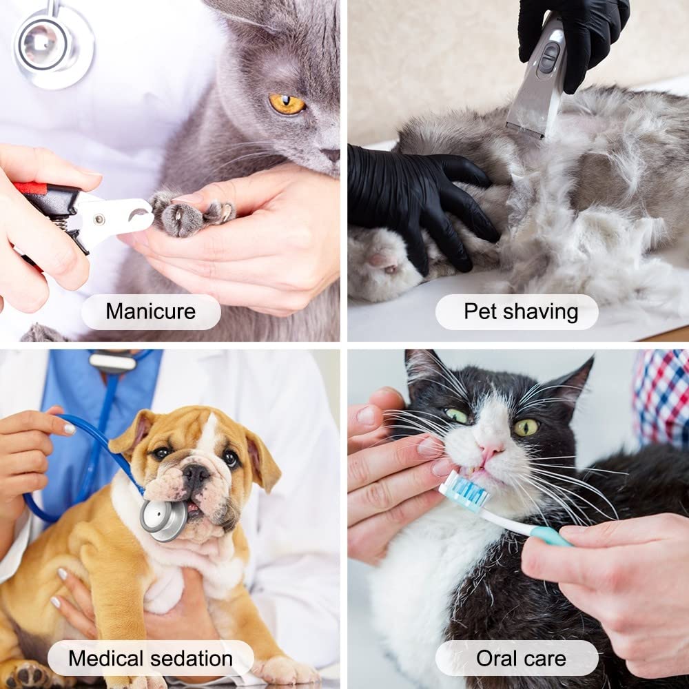 DONGKER Sac de Toilettage pour Chat,Sac de Bain pour Chien en Maille Respirante avec Fermeture Éclair pour Petite,Moyenne et Grande Taille
