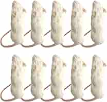 Amazon | feedbase 冷凍マウス ファジー 10匹入り 7～9g