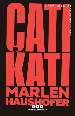 &Ccedil;atı Katı