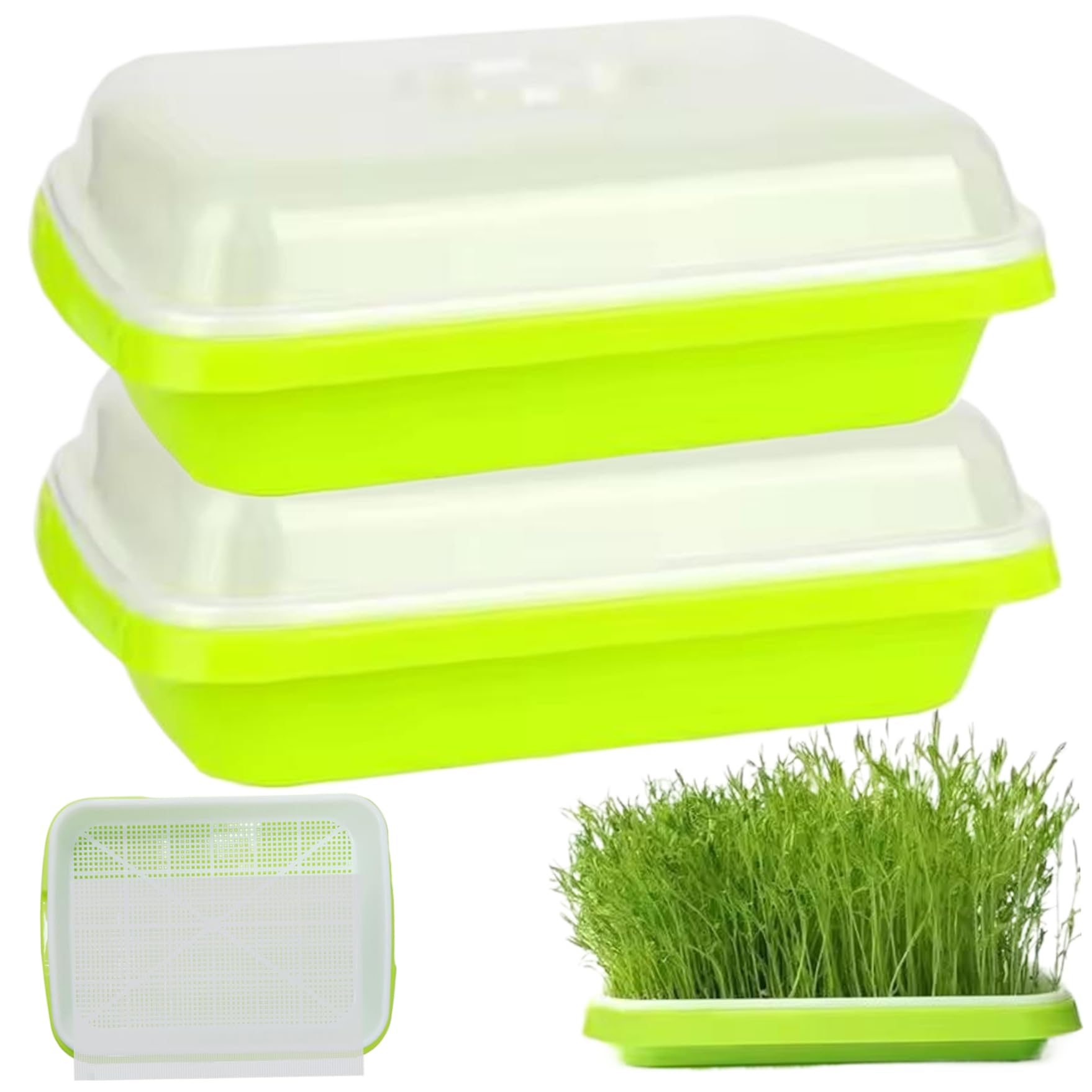 Licsaliwe 2Pcs Microgreens Growing Tray Kit, Seed Sprouting With Lids For Hydroponics Mung Beans/13X10 Inch