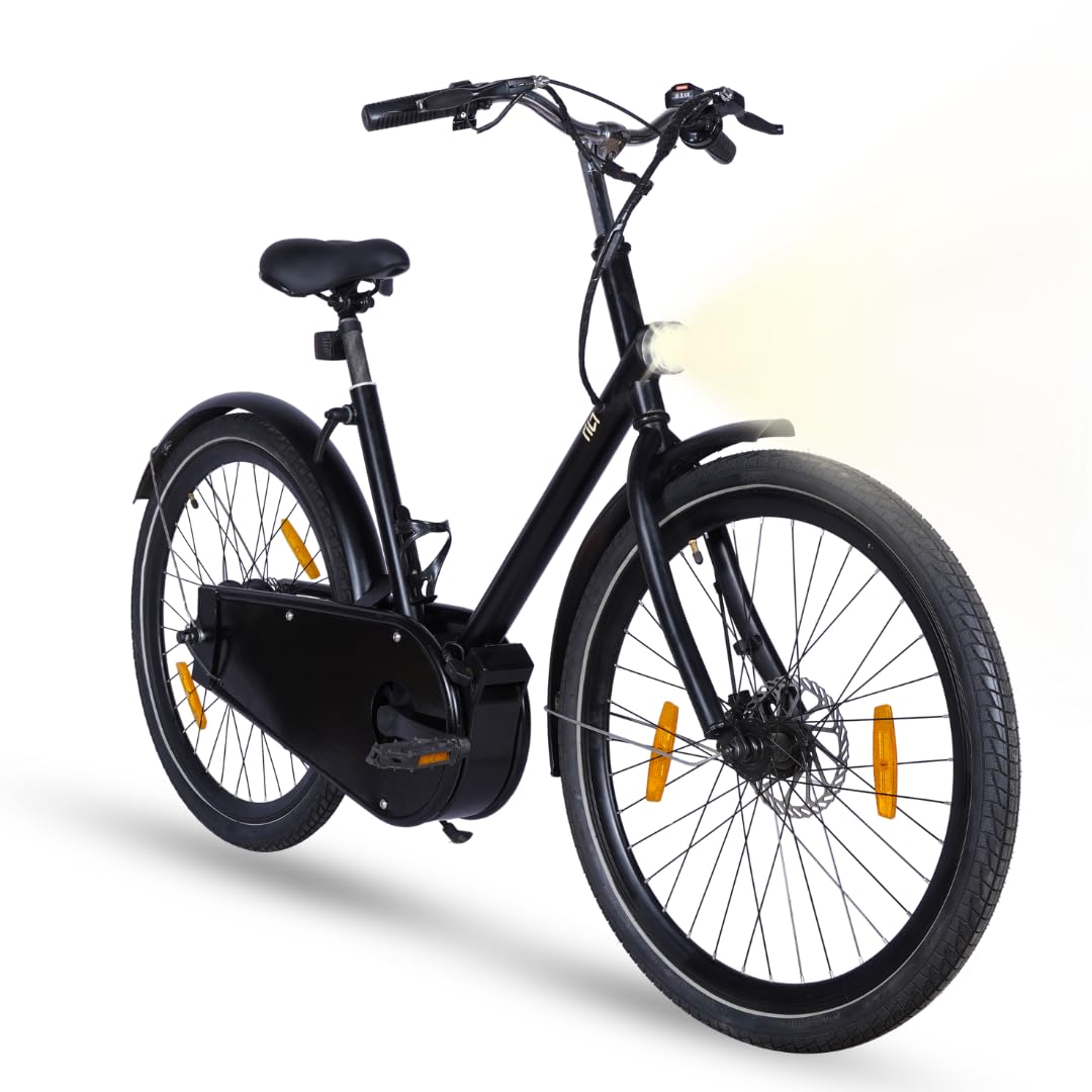 Electric Assisted Bicycle