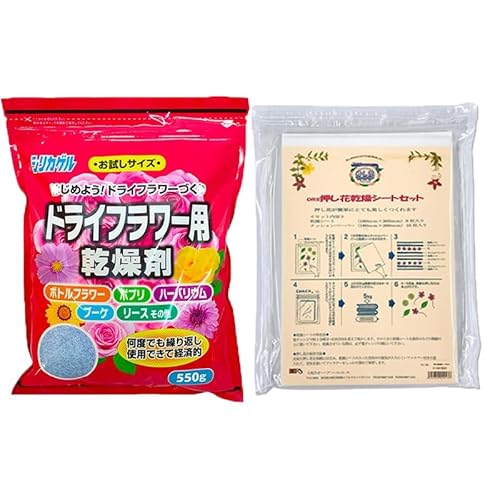 ԃLbg ܃VJQ 550g + ԊV[g Zbg  Wp LcH Y (܂PV[gP)