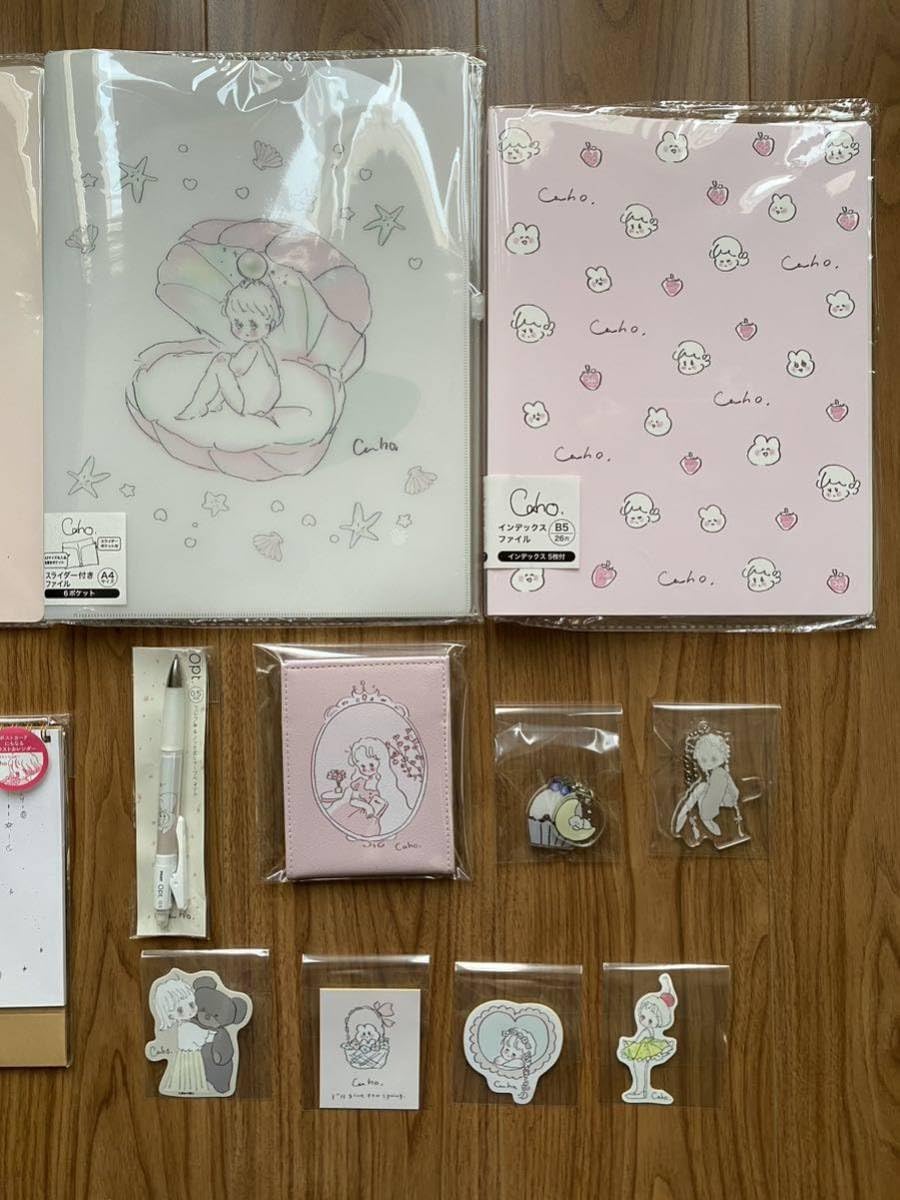 Amazon.co.jp: Caho 12点セット イラストレーター ファイル