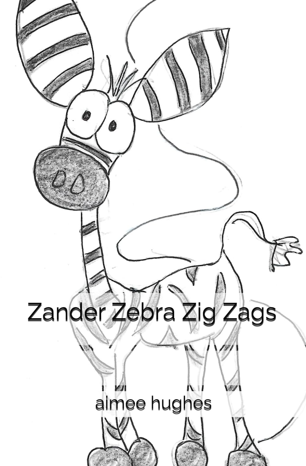 Zander Zebra Zig Zags