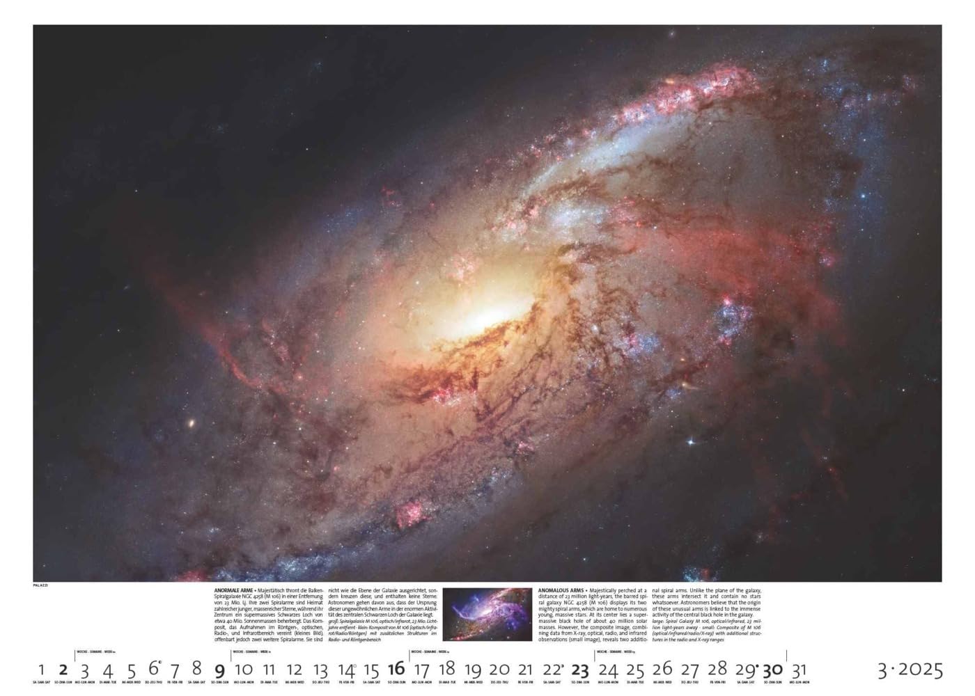 PALAZZI - Sternzeit 2025 Wandkalender, 70x50cm, Posterkalender mit brillanten Aufnahmen aus unserem Universum, eine astronomische Reise in Zeit und ... Eine astronomische Reise in Zeit und Raum