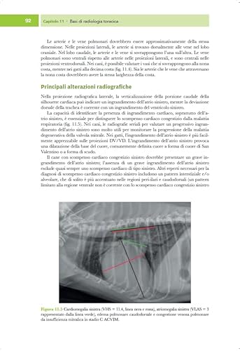Medicina Cardiorespiratoria Del Cane E Del Gatto - 2
