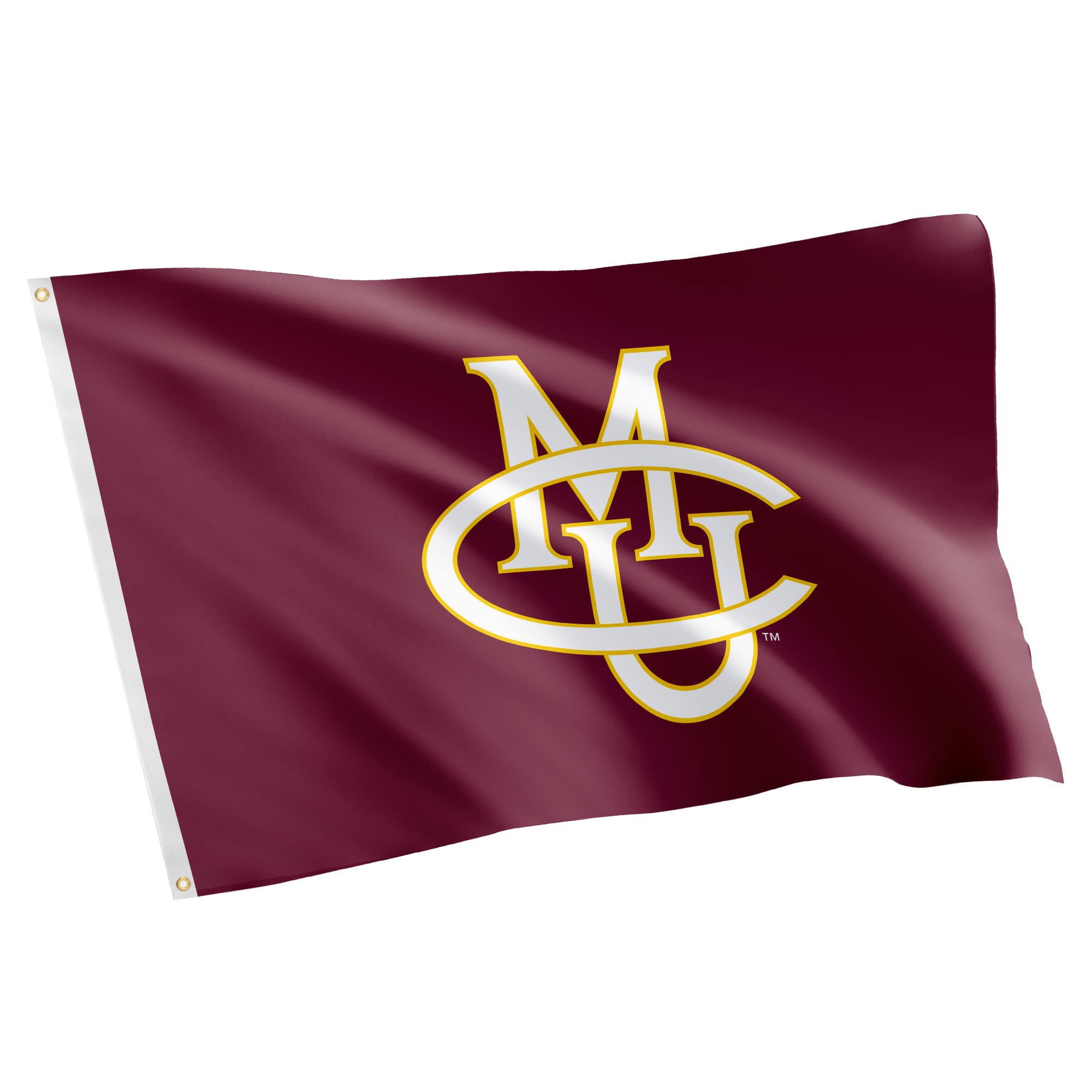 Desert Cactus Colorado Mesa University CMU Flag - 3 x 5 Feet Mavericks Banner, Indoor/Outdoor Durable Fabric, 100% Polyester Design (Style 1)