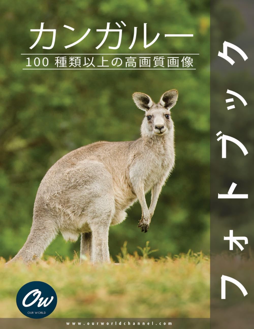 カンガルー: フォトブック | わたしたちの世界, アラレット |本 | 通販