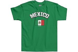 Toddler Boy's Embroidered Mexico Flag T-Shirt
