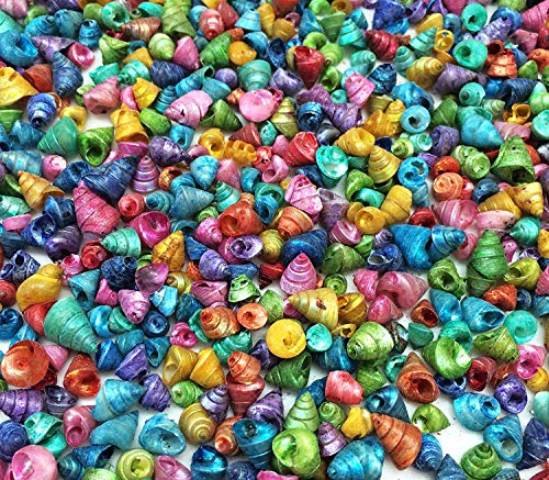 PEPPERLONELY Dyed Assorted Colors Trochus Tiny Sea Shells, 4 OZ Apprx.1300+ PC Shells, 1/4 Inch
