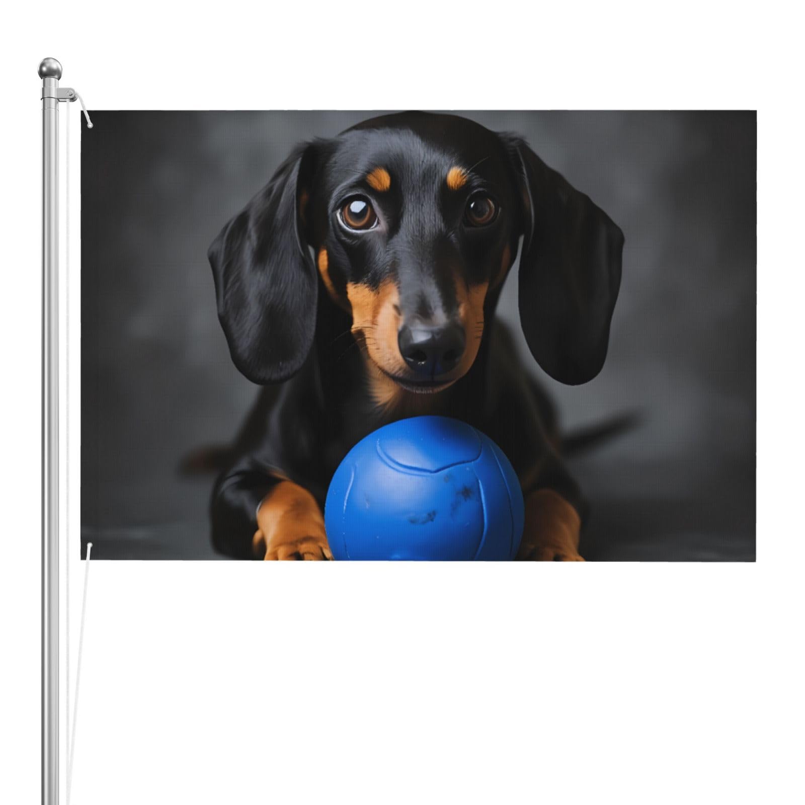 Drapeau teckel double face anti-décoloration pour résoudre les problèmes de décoration ternie