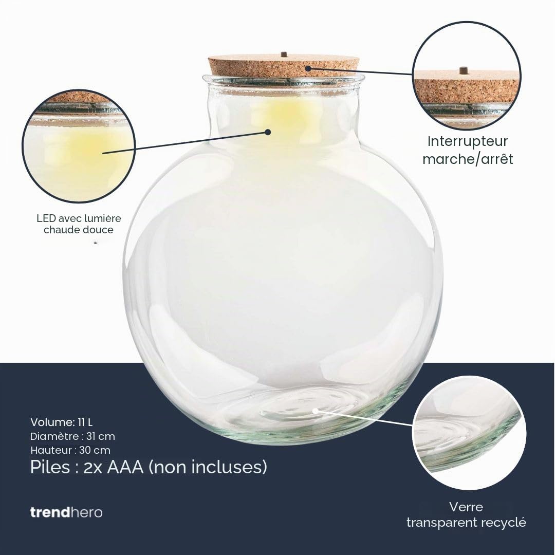 Terrarium avec Lampe - Terrarium fermé ↑ 30 cm