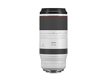 Canon RF 100-500mm F4.5-7.1 L is USM Lens Black