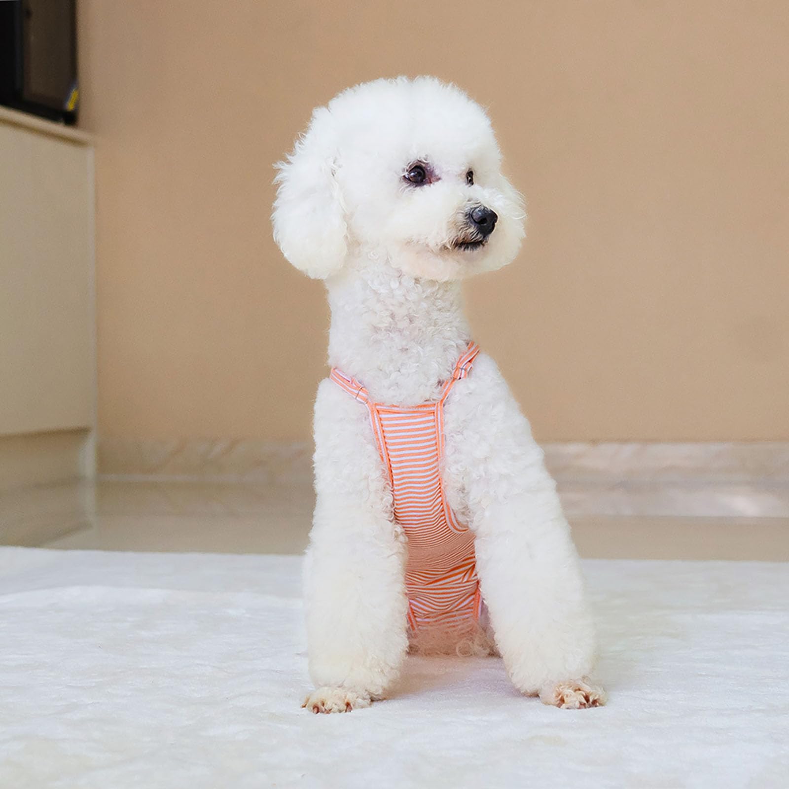 Dog Period Pants Reusable, Washable Sanitary Nappies for Female Dogs with Adjustable Suspender, Anti-Mating Safety Shorts - Image 4