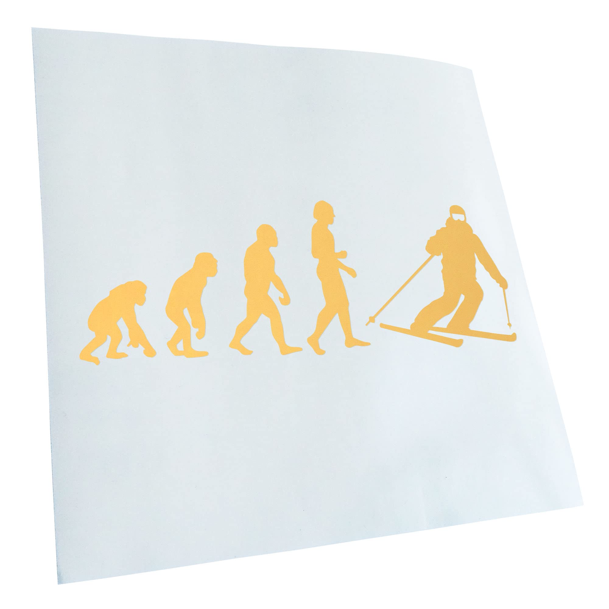 Kiwistar - Car Sticker - Cream - 60 x 21 cm Evolution Skiing - Rear Window Car Sticker Weatherproof for Car Truck Moped Truck - Sticker Exterior Self-Adhesive Tuning Accessories for Windows