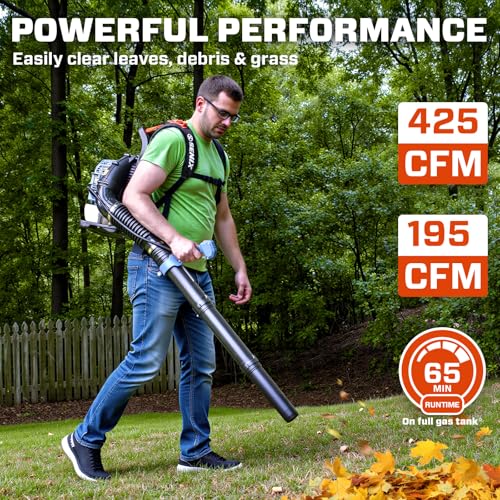 SENIX 49cc 4-Cycle Backpack Leaf Blower