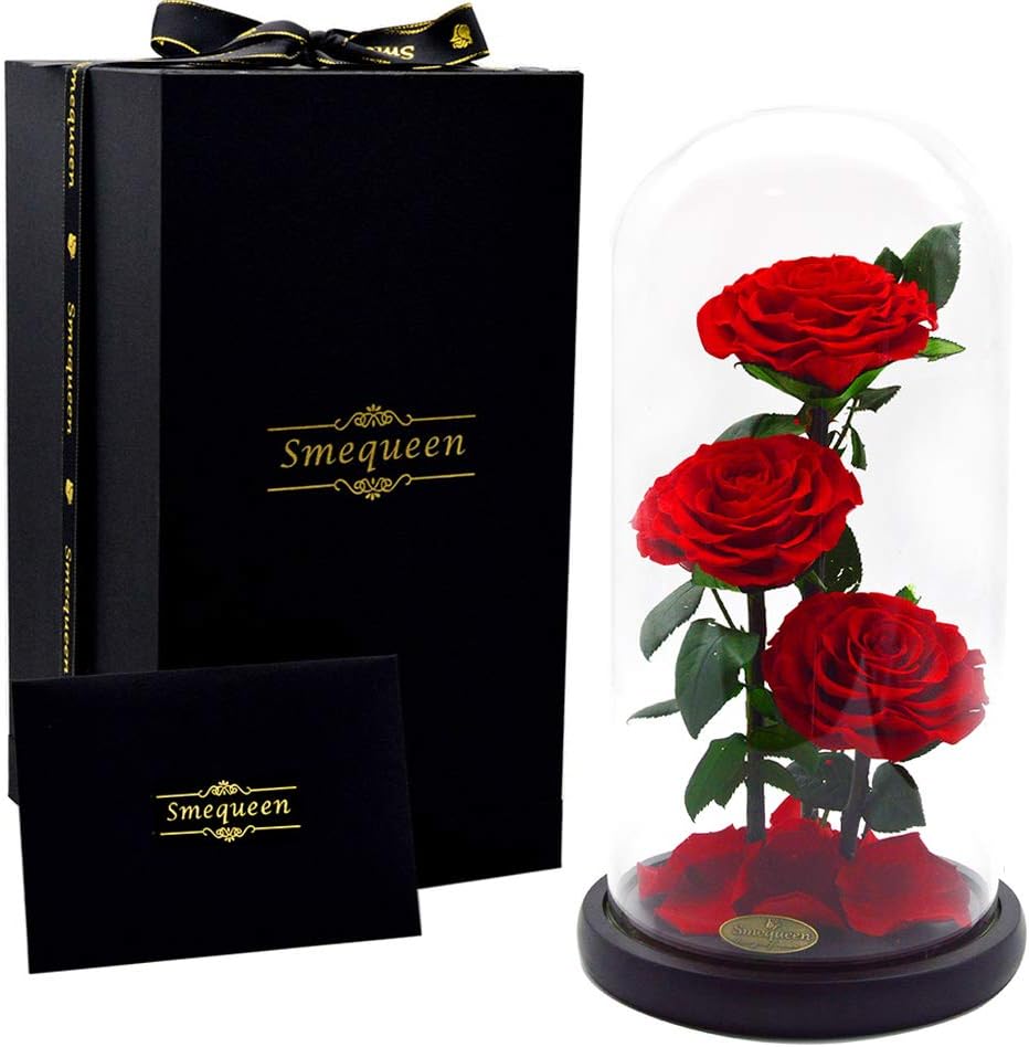 Smequeen Preserved Rose Never Withered Roses Flower in 12.5‘’x 6''Glass Dome, Gift for Valentine's Day Anniversary Birthday (Red 2)