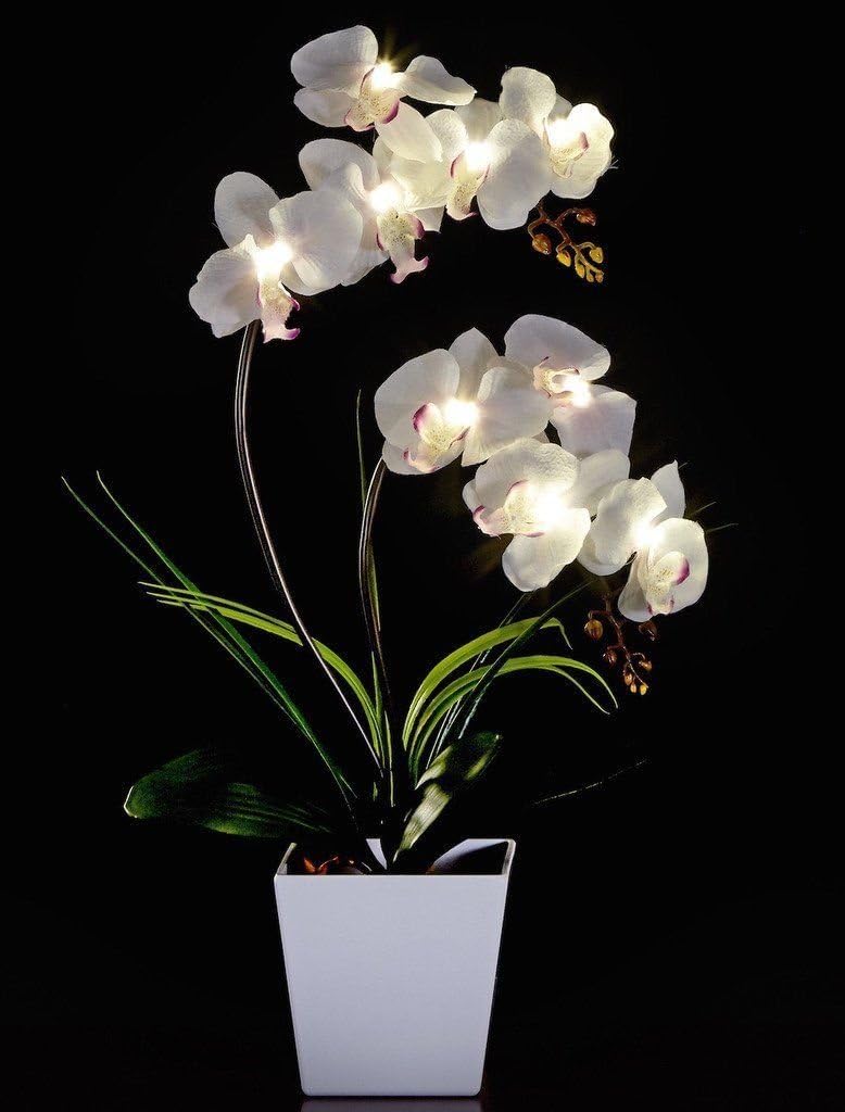 2AA LED Lighted Artificial Orchid Arrangement-Battery Operated Orchid Pot with 9 Lights (White)