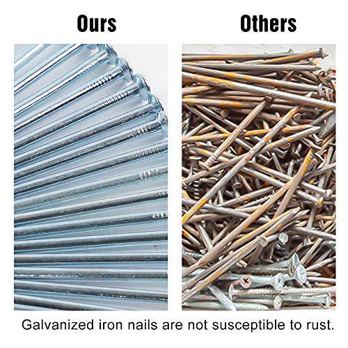 HongWay 200pcs Hardware Nail Assortment Kit, Picture Hanging Nails, Common Nails, Finishing Nails, Brad Nails,Galvanized Nails, Wood Nails, Maximum Length 2 Inches, 5 Size Assortment