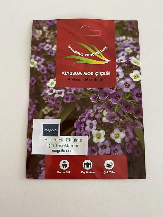 ALYSSUM (ÇOKLU TOHUM) - 250 Tohum - MOR Renk