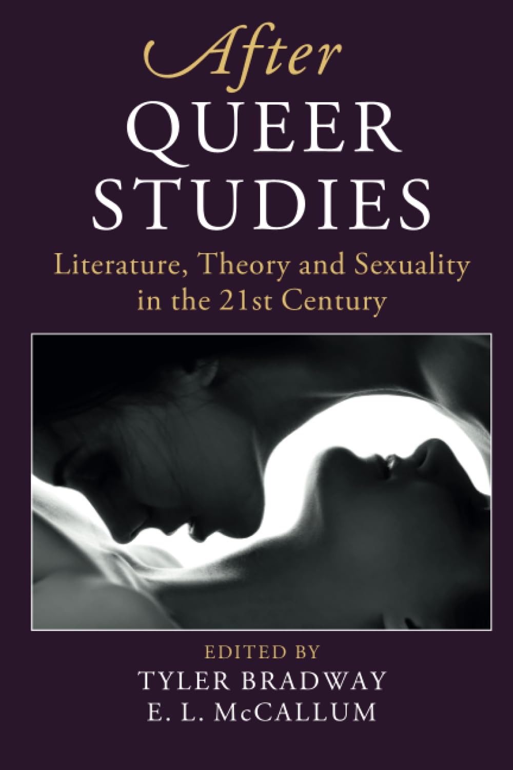 After Queer Studies by Tyler Bradway PAPERBACK 9781108739733