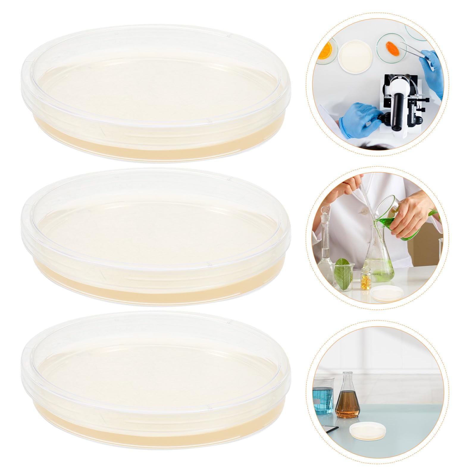 Zerodeko Placas de Petri de Agar Nutritivo Estériles de 9 CM, 20 Unidades de Plástico Pre-Vertido para Cultivo Celular y Experimentos Científicos en Laboratorio