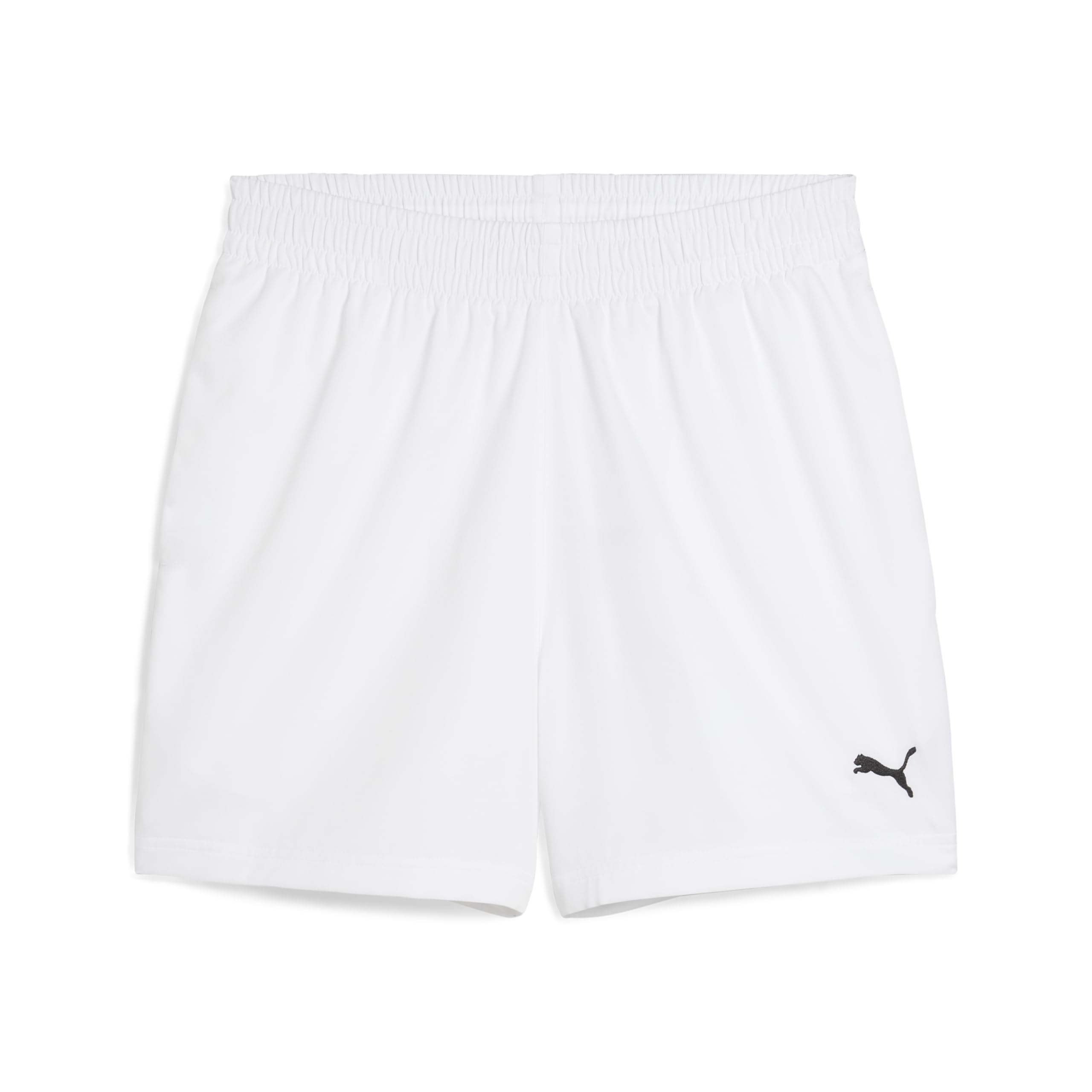 Puma Men's Hybrid Shorts-picture-21