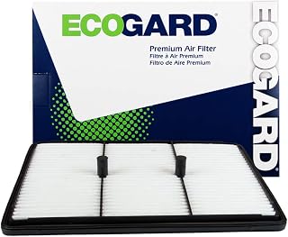 ECOGARD XA10667 Premium Engine Air Filter Fits Kia Niro 1.6L 2017-2019, Niro 1.6L HYBRID 2020 | Hyundai Ioniq 1.6L HYBRID 2017-2020