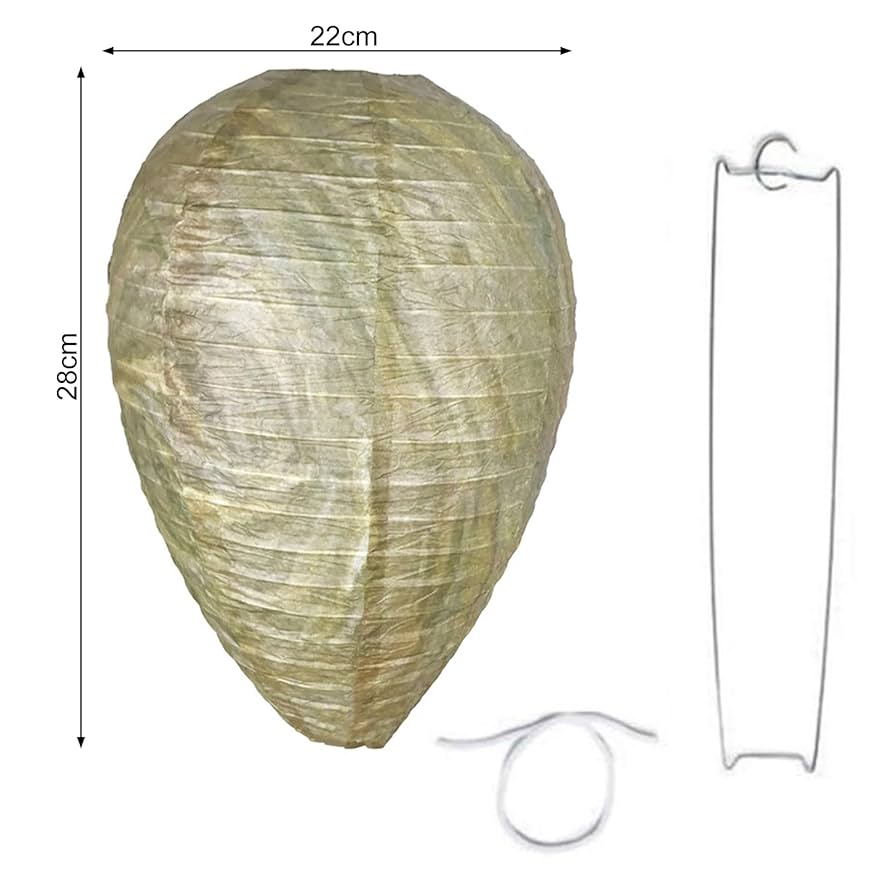 Amazon.co.jp: Tainrunse 屋外蜂抑止剤追い払う蜂スズメバチの巣