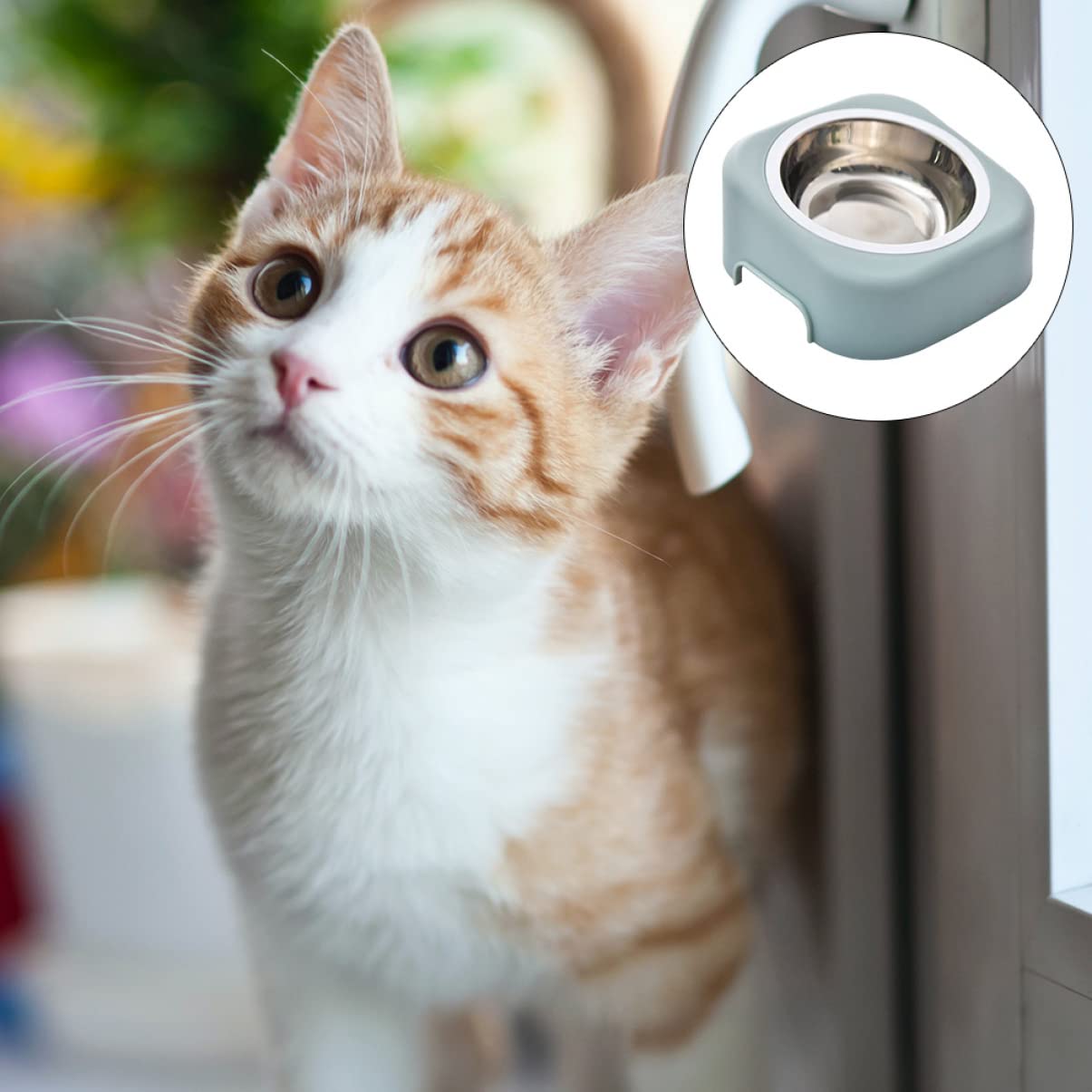 Sosoport 2sets Ciotola Per Animali Con Base Alta e Protezione Per Collo Ciotola Ceramica Antiscivolo Per Cani e Gatti Design e Facile Da Usare