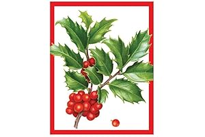 Caspari Christmas Trimmings Plantable Seed Paper Gift Enclosure Cards with Envelopes