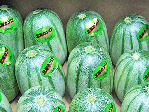 kCYkCJ(L) 3kgi6ʑOjyØI  AWE zyԌz7{`8{ yo׌:kClGH[z