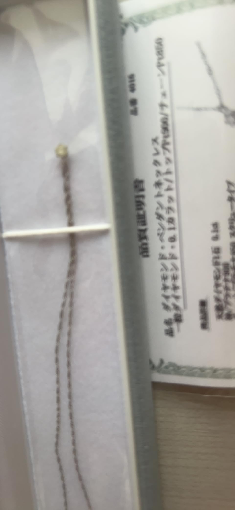 ネックレス シルバー925 ダイヤモンド0.010 CT 馬蹄 ホースシュー GS6N023940DI photo review