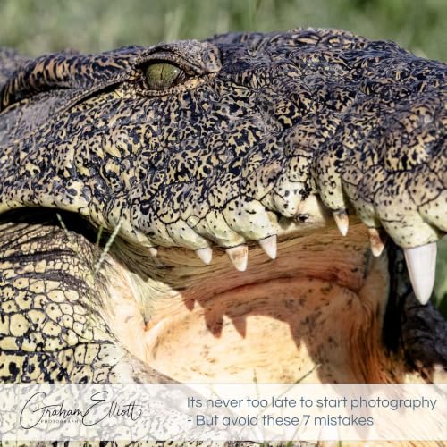 Its never too late to start photography - But avoid these 7 mistakes