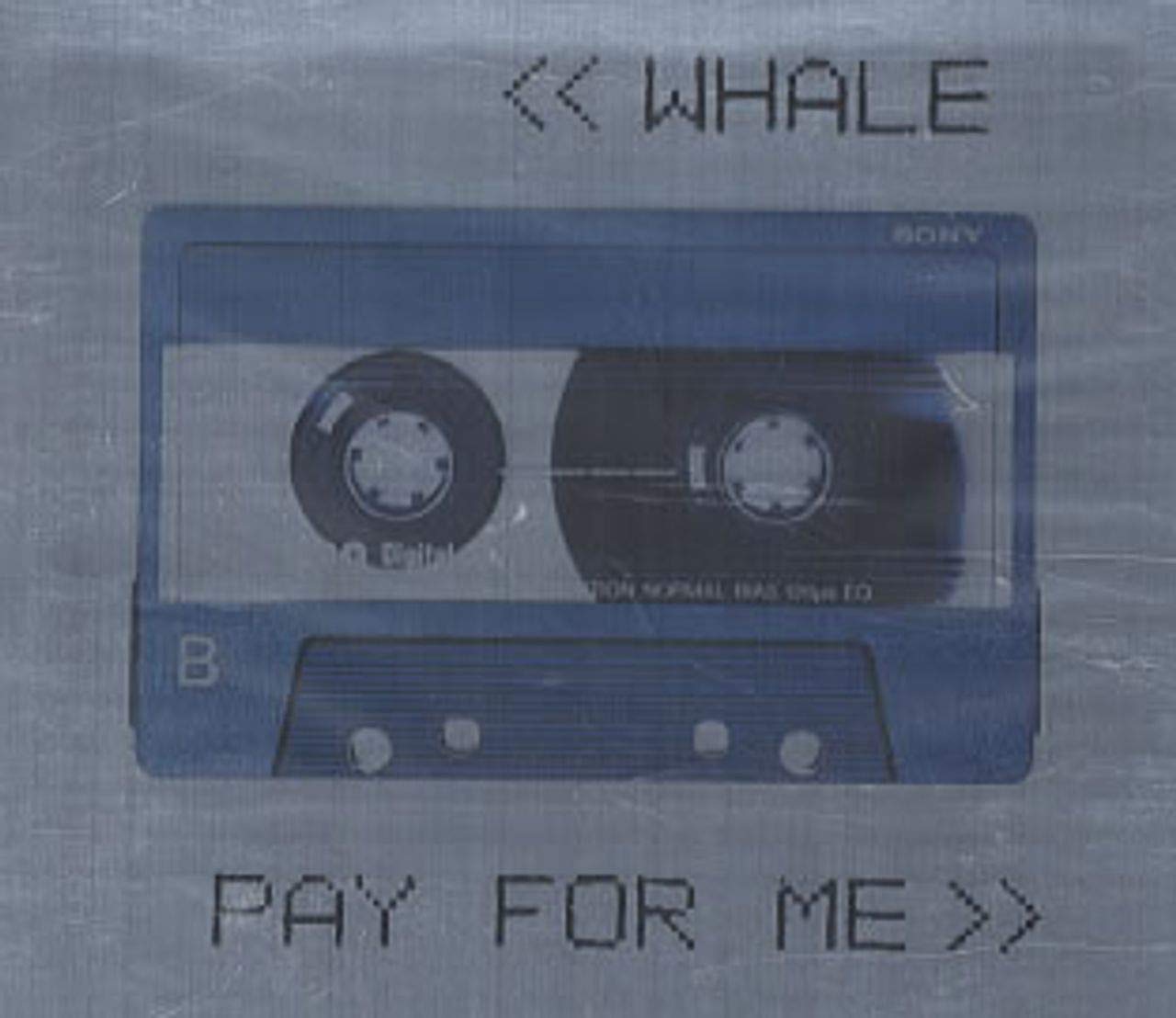 Pay For Me [Audio CD] Whale