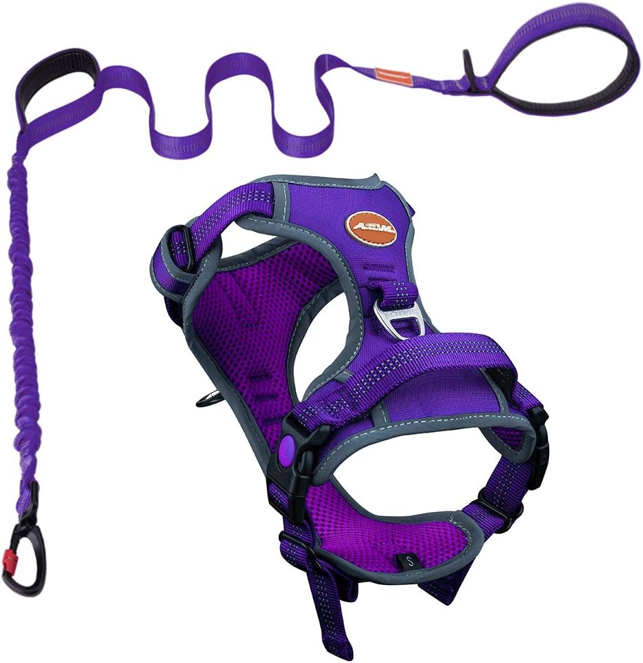 AdventureMore Dog Harness Leash Set, No Pull Dog Harness, Front Clip Dog Harness, Reflective Dog Vest, with 5 ft Dual Handle Dog Leash,…