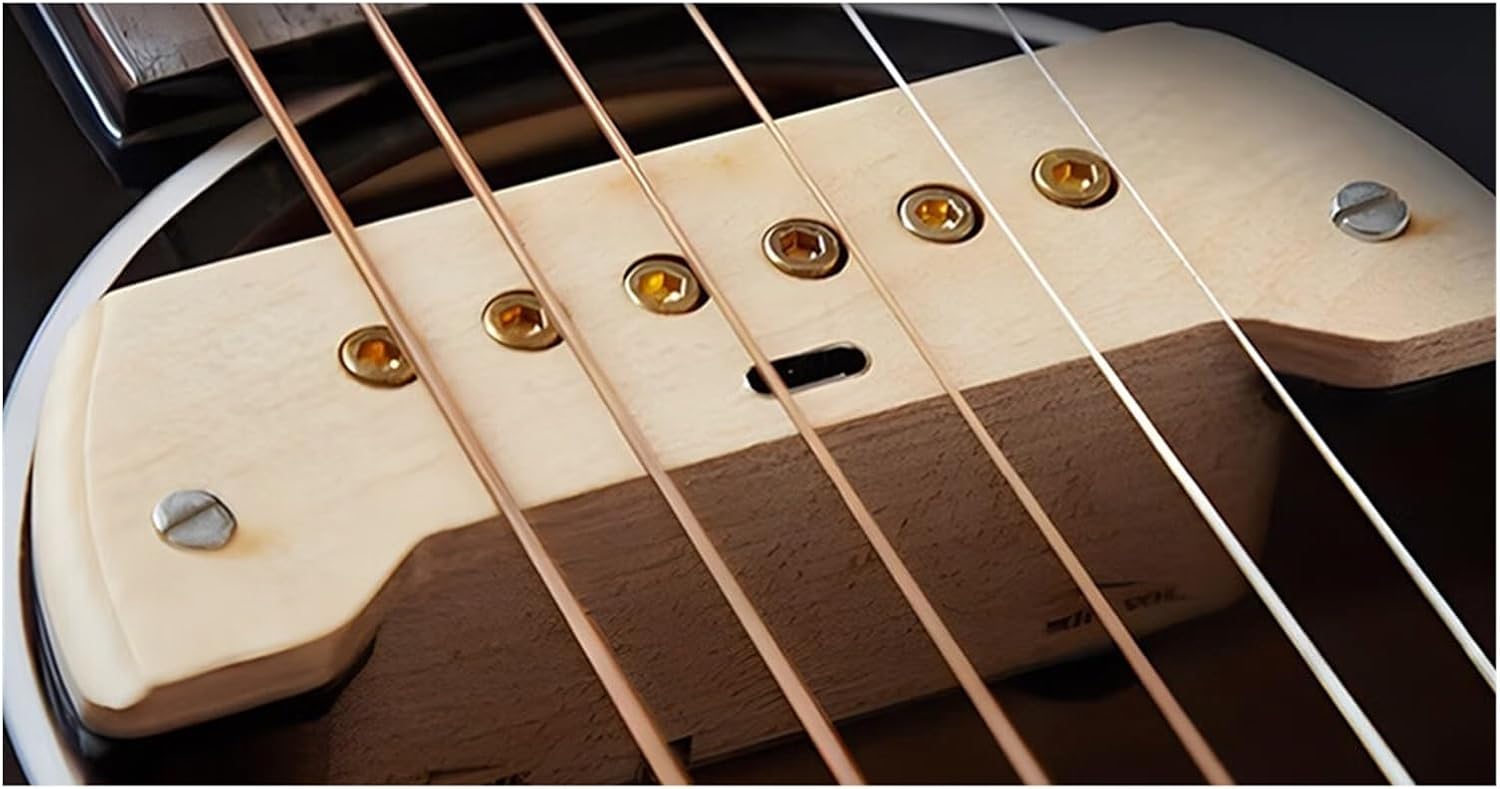 Professional Acoustic Guitar Pickup Beginner Set