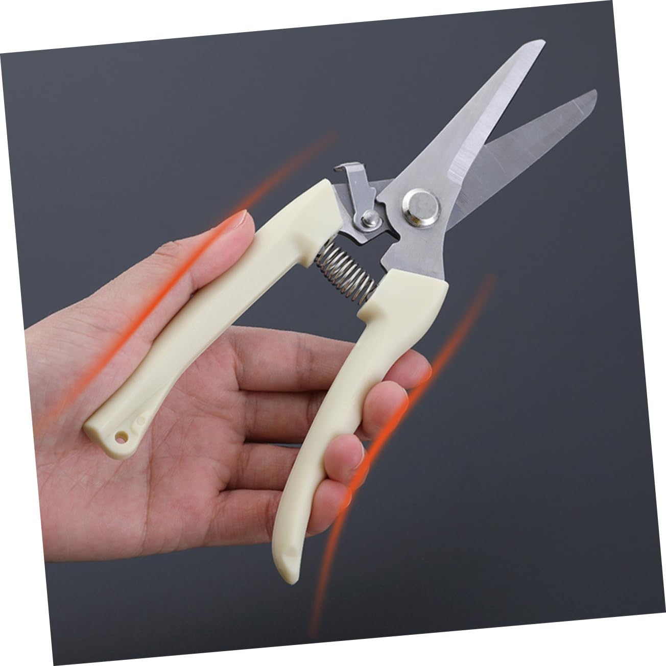 TOYANDONA 2 Sätze Gartenschere Buschschere Handschneider Pflanzenschneider Baumschere Handscheren Für Die Gartenarbeit Branchenschneider Beige Rostfreier Stahl 2 Stück * 2
