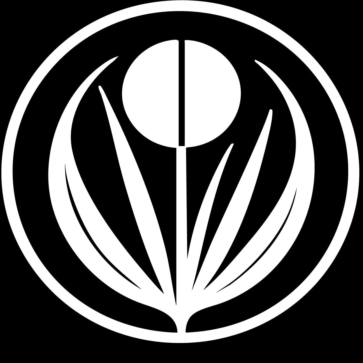 Lightwerx Collective