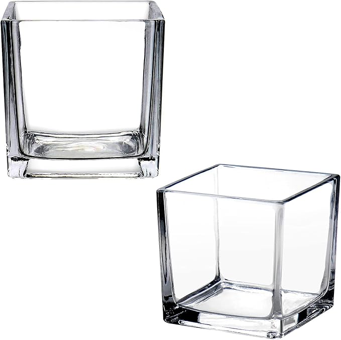 plant Square Glass Vase Clear Flower Decorative Centerpiece