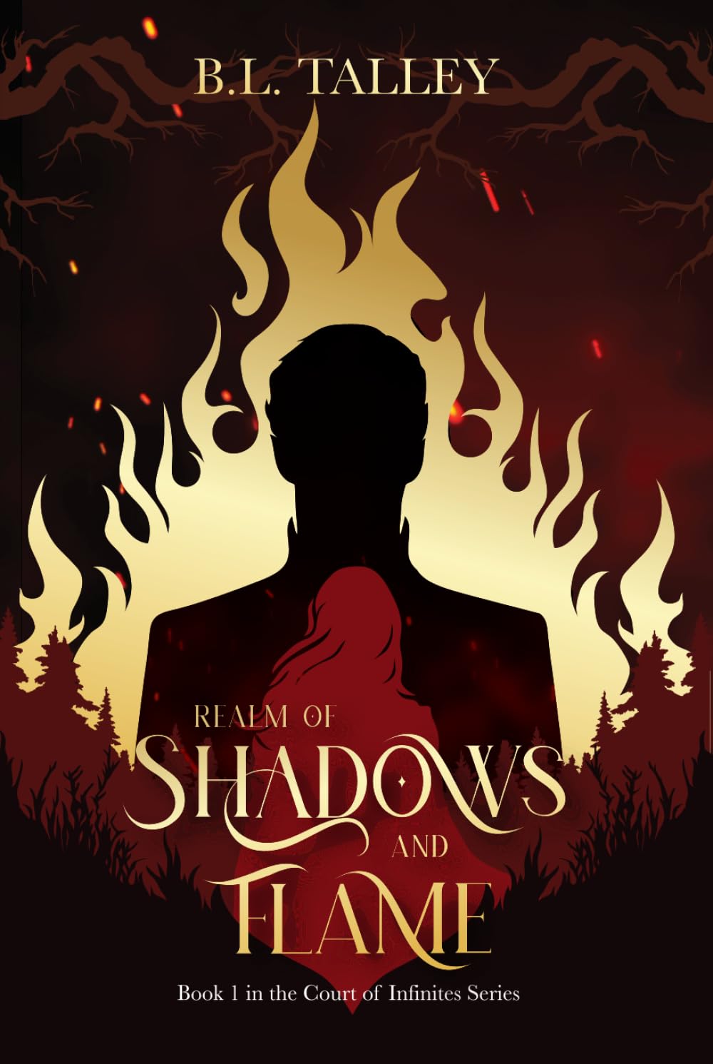 Realm of Shadows and Flame: Book 1 in the Court of Infinites Series