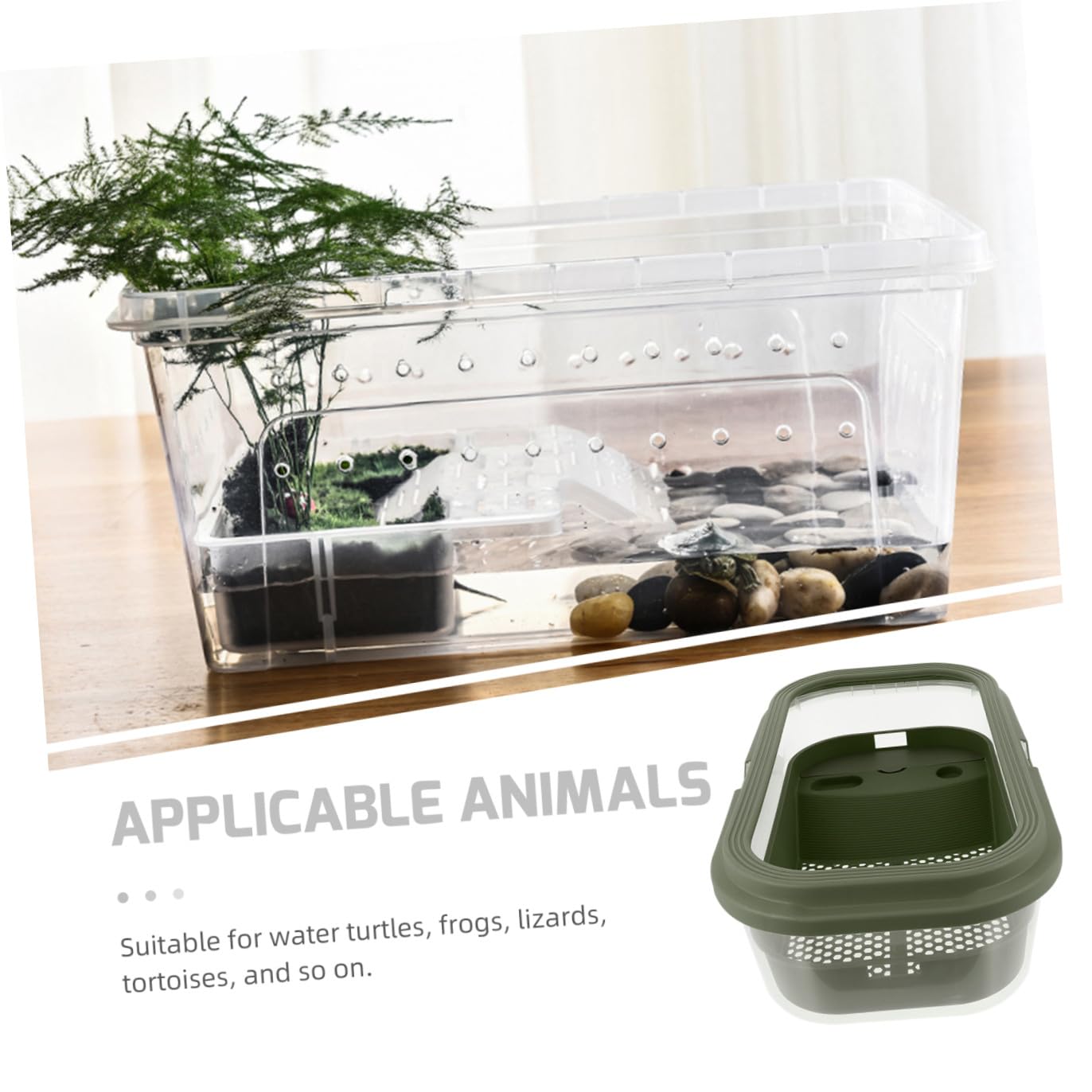 Aquarium pour Tortue en Plastique Vert avec Terrasse et Rampe | Boîte D’élevage, Dispositif de Changement D’eau, Nettoyage Facile, Adapté au Lézard la Tortue