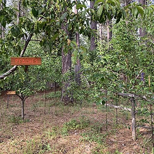 Miniatura 2 de PEACHES Sign, Outdoor Sign, Yard Art, Garden Marker, Fruit Tree Sign, Fruit Marker, Plant Label, Summer Fruit Tree, Deciduous Tree Sign