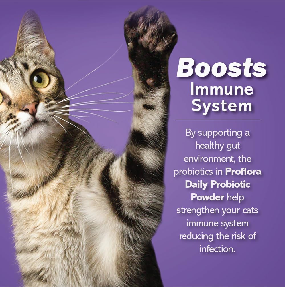 Probiotics for Cats-Complete Gut Health & Immune Support. Easy to Use Digestive Multi-Strain Probiotics. Easier Diet Transitions, Healthier Skin & Coat & Helps Treat Diarrhea. 30 Packets. - Image 3