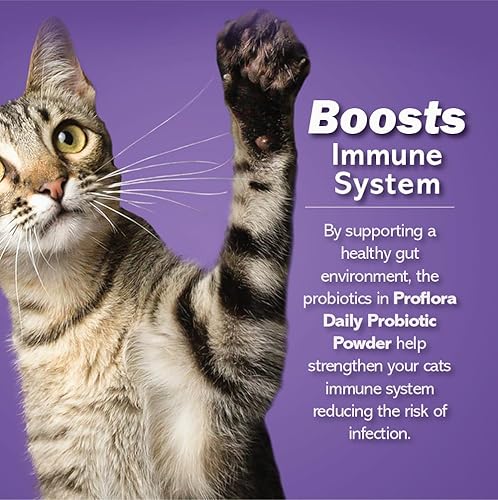 Miniatura 3 de Probióticos para gatos: salud intestinal completa y apoyo inmunológico. Probióticos digestivos de múltiples cepas fáciles de usar. Transiciones de