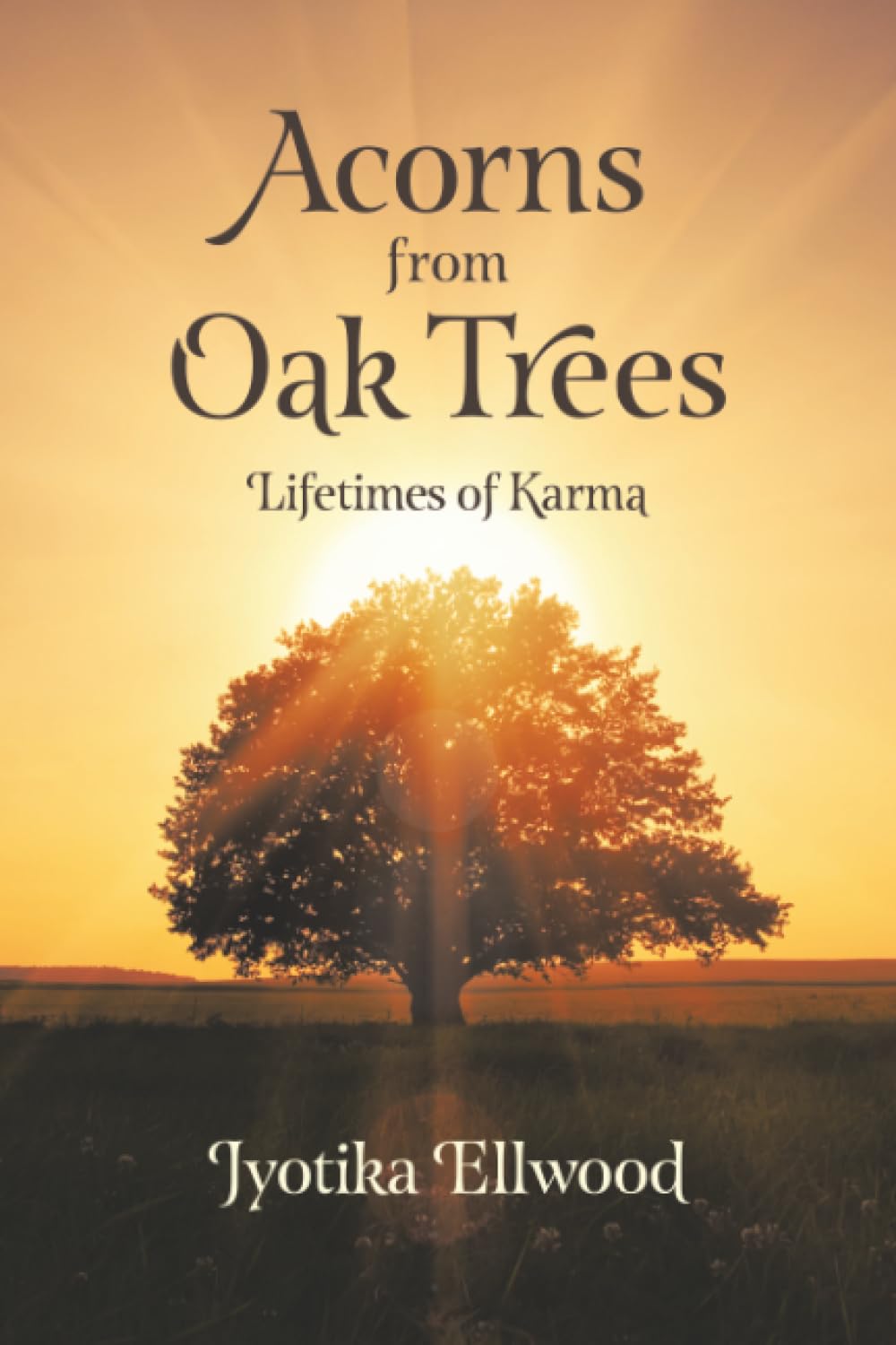 Acorns from Oak Trees: Lifetimes of Karma