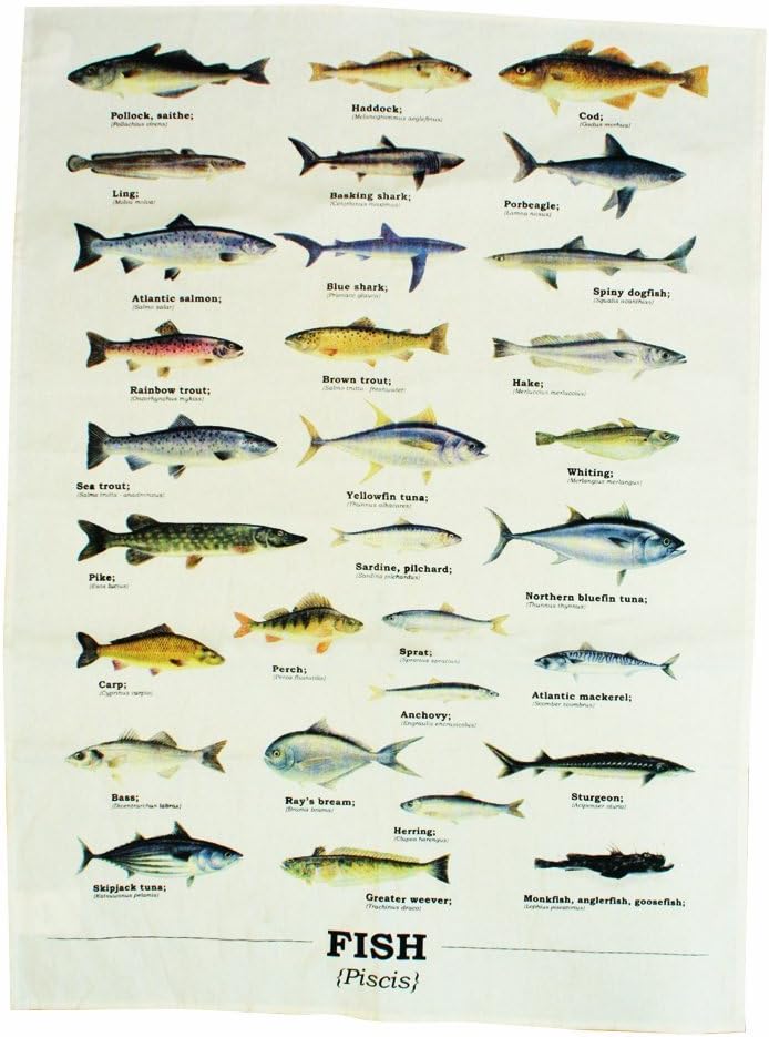 Gift Republic Ecologie Multi Species Fish Teatowel, 100%-cotton, Multicoloured, One Size