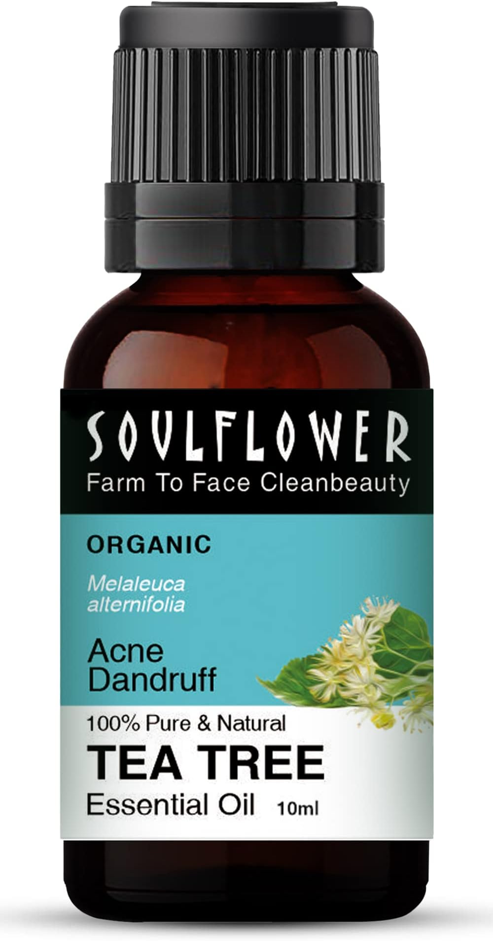 Soulflower Organic Tea Tree Essential Oil for Skin, Hair, Face, Acne Care, Dandruff | 22 years of worldwide Trust, Ecocert Certified Organic 100% Pure, Natural, Undiluted Therapeutic Grade | 10ml